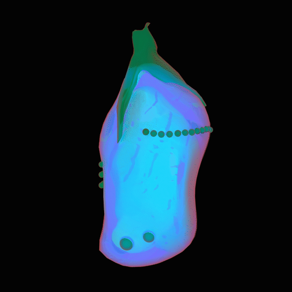 a rotating GIF of a purple and green transparent cocoon