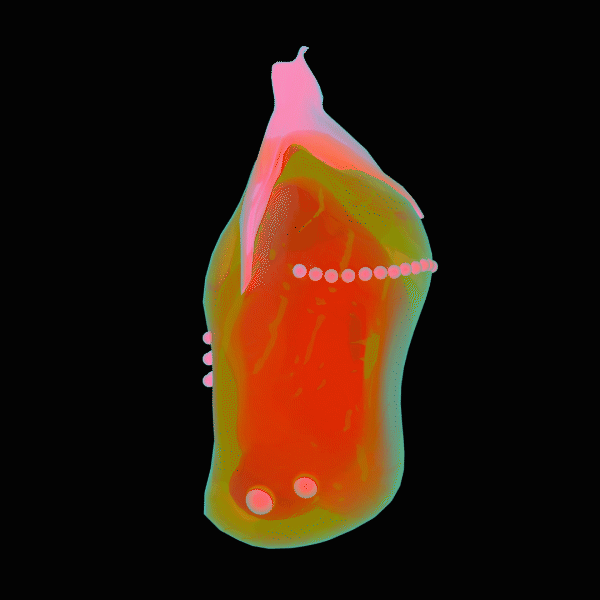 a rotating GIF of a pink and orange transparent cocoon