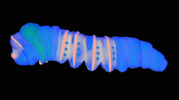 a rotating GIF of a blue and pink colored transparent glowing caterpillar